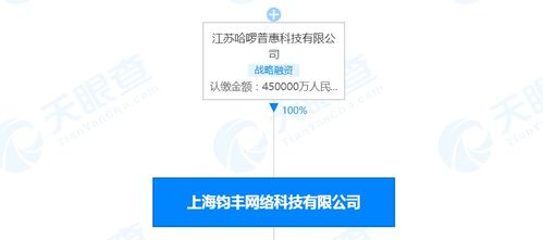 哈啰出行關(guān)聯(lián)公司注冊(cè)資本激增50%，彰顯戰(zhàn)略布局與業(yè)務(wù)擴(kuò)展雄心