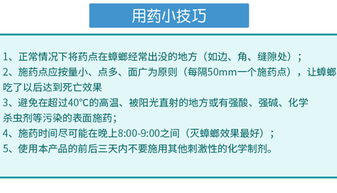 食品工廠如何徹底消滅蟑螂？專家分享實用方法與運營策略