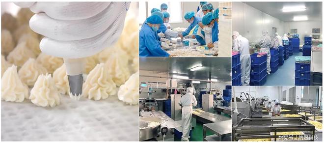 QHE購物中文域名 護航網絡知識產權，打造電商權威入口的運營策略